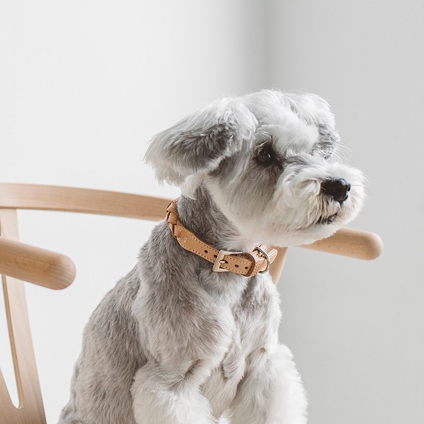 free stitch / Nume Woven Color 編織真皮項圈