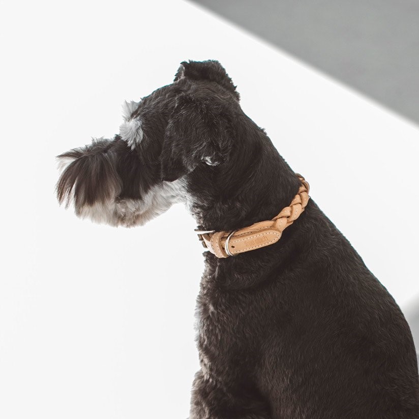 free stitch / Nume Woven Color 編織真皮項圈