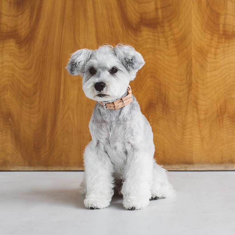 free stitch / Nume Woven Color 編織真皮項圈