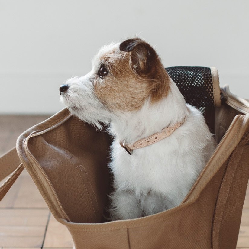 free stitch / Nume Woven Color 編織真皮項圈