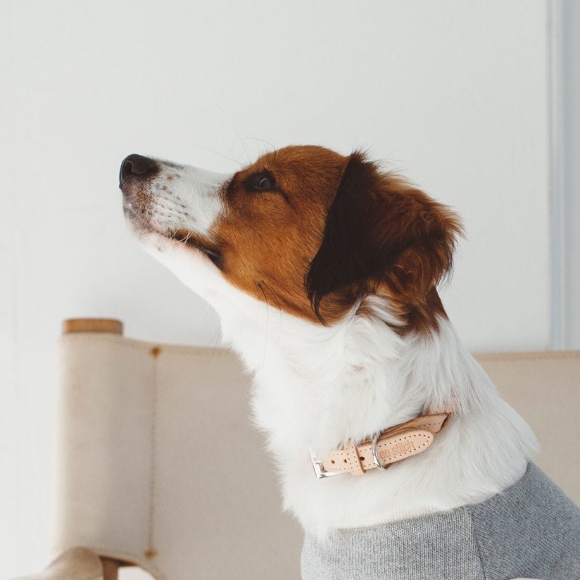 free stitch / Nume Woven Color 編織真皮項圈