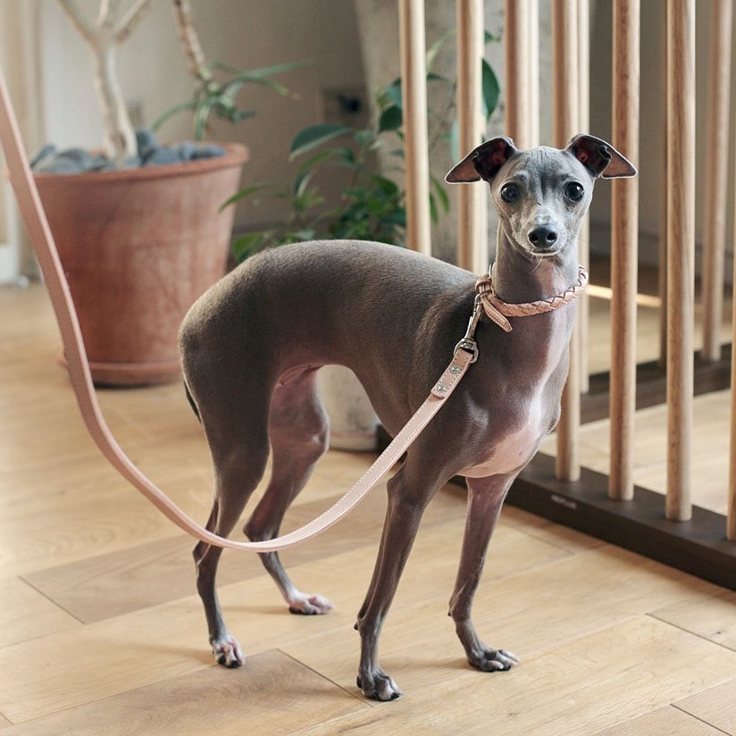 free stitch / Nume Woven Color 編織真皮項圈