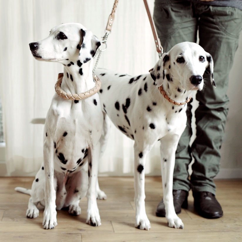 free stitch / Nume Woven Color 編織真皮項圈