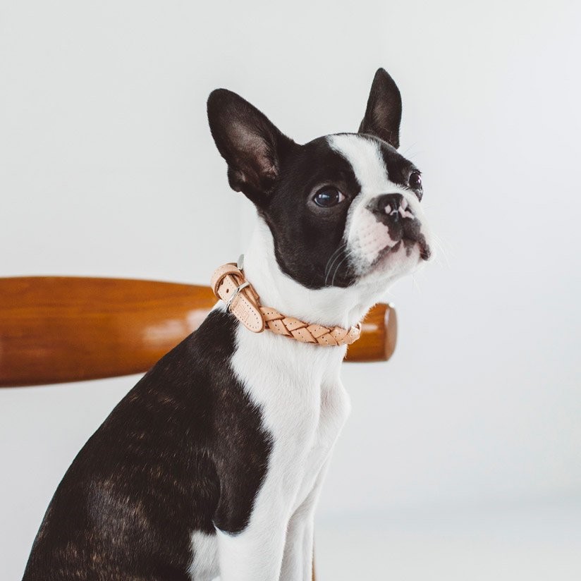 free stitch / Nume Woven Color 編織真皮項圈