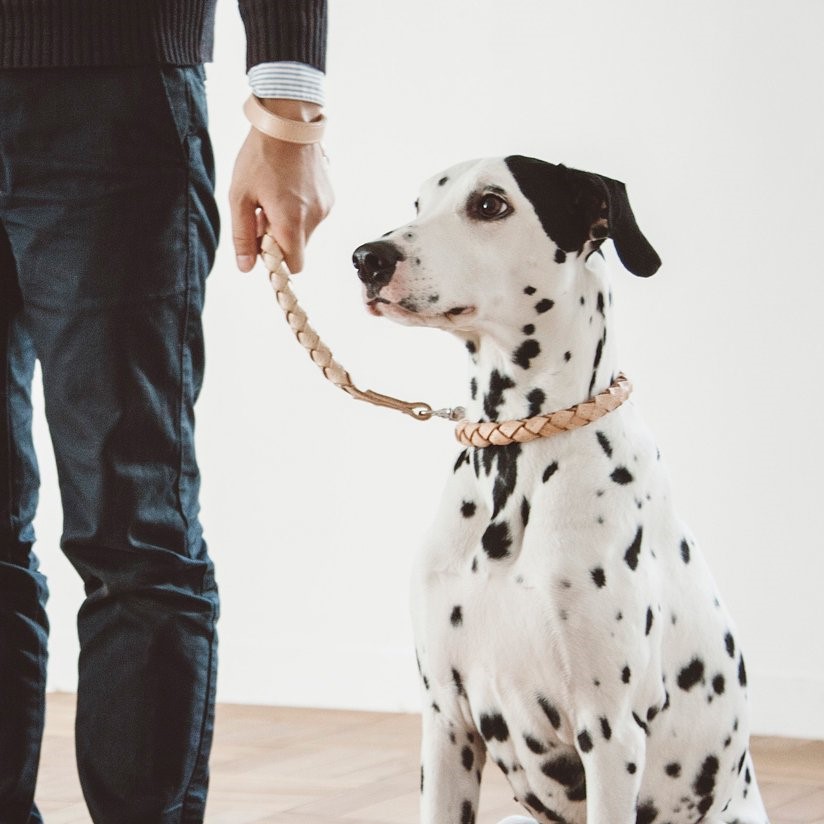 free stitch / Nume Woven Color 編織真皮項圈