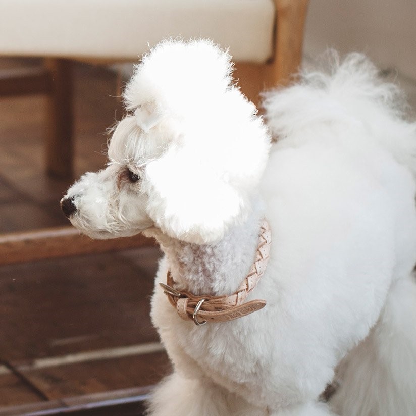 free stitch / Nume Woven Color 編織真皮項圈