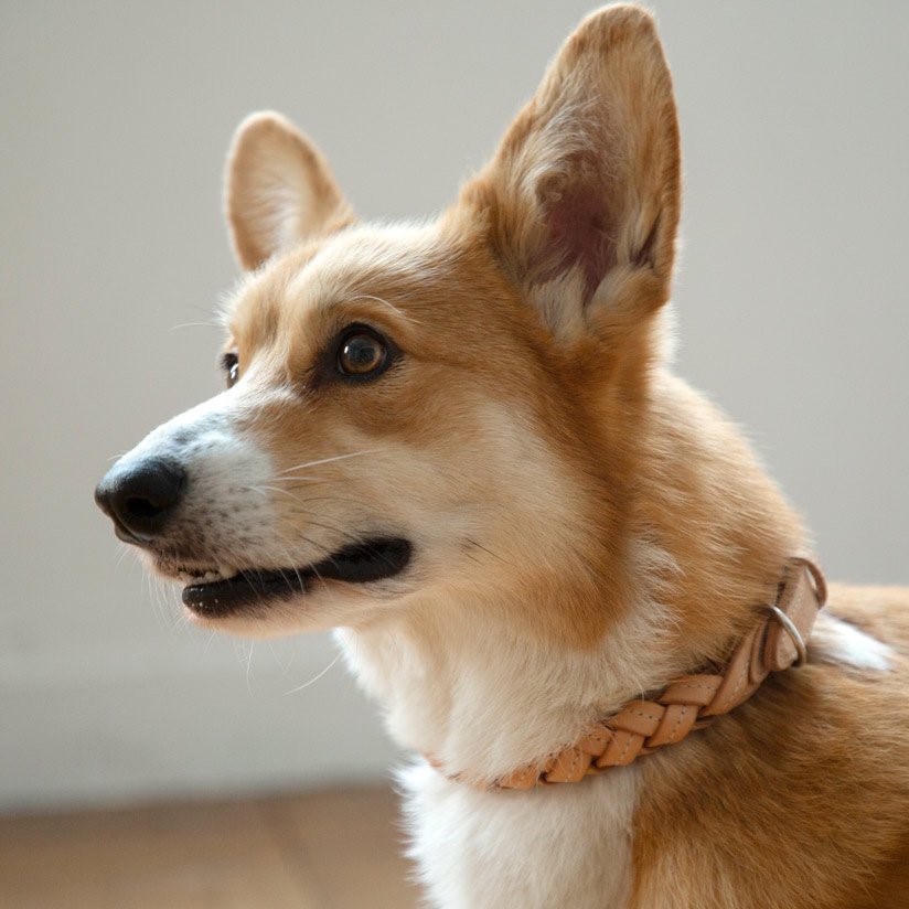 free stitch / Nume Woven Color 編織真皮項圈