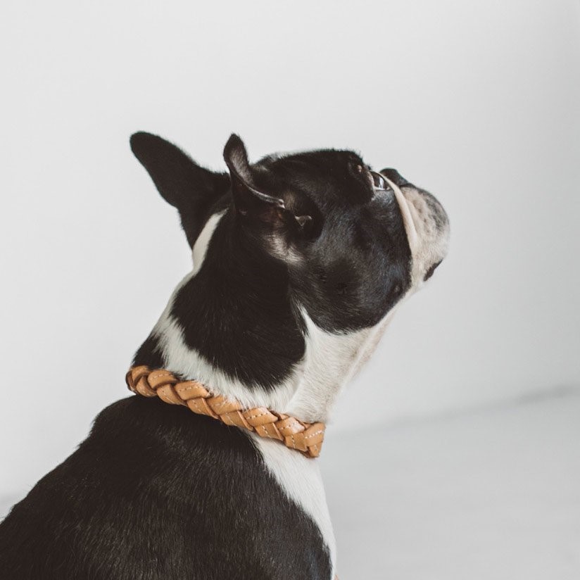 free stitch / Nume Woven Color 編織真皮項圈