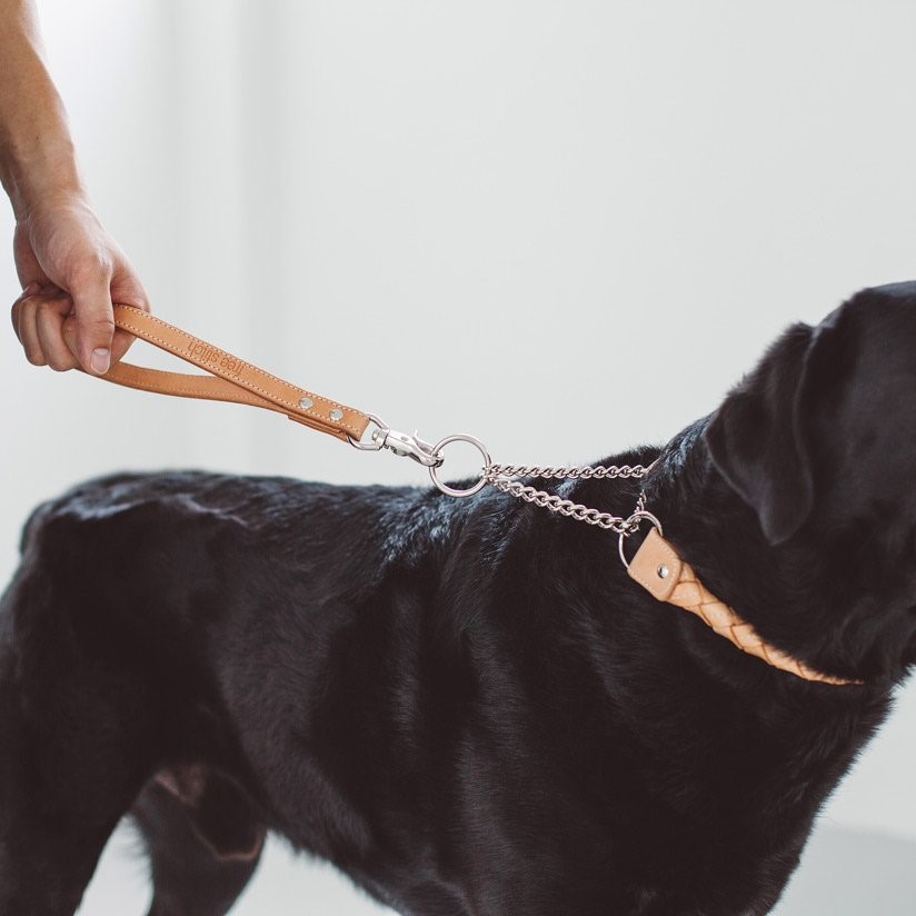 FREE STITCH / Nume Dog Handle 大狗短皮革牽繩