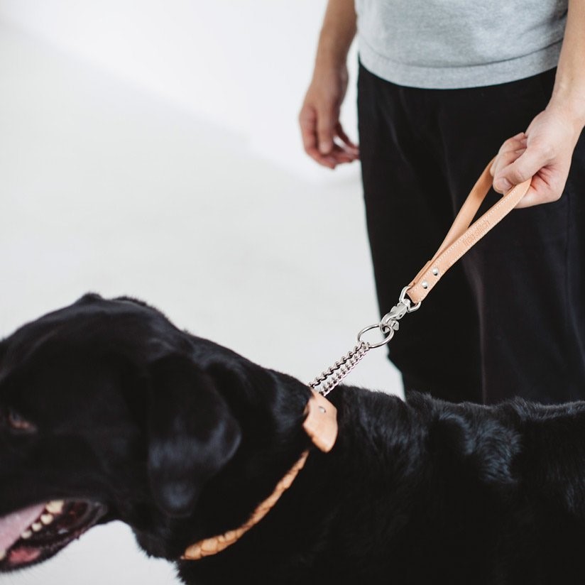 FREE STITCH / Nume Dog Handle 大狗短皮革牽繩