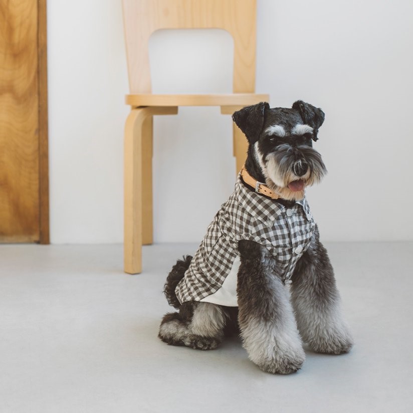 free stitch / Gingham Check Shirt 格子襯衫
