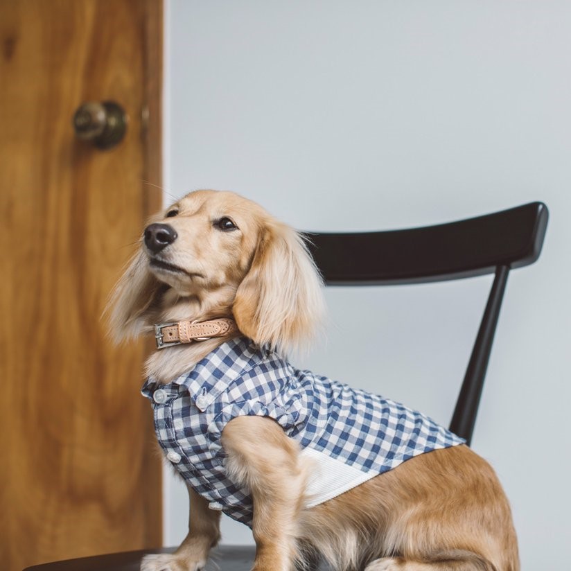 free stitch / Gingham Check Shirt 格子襯衫