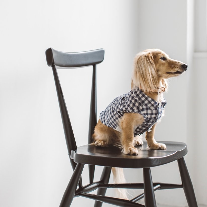 free stitch / Gingham Check Shirt 格子襯衫