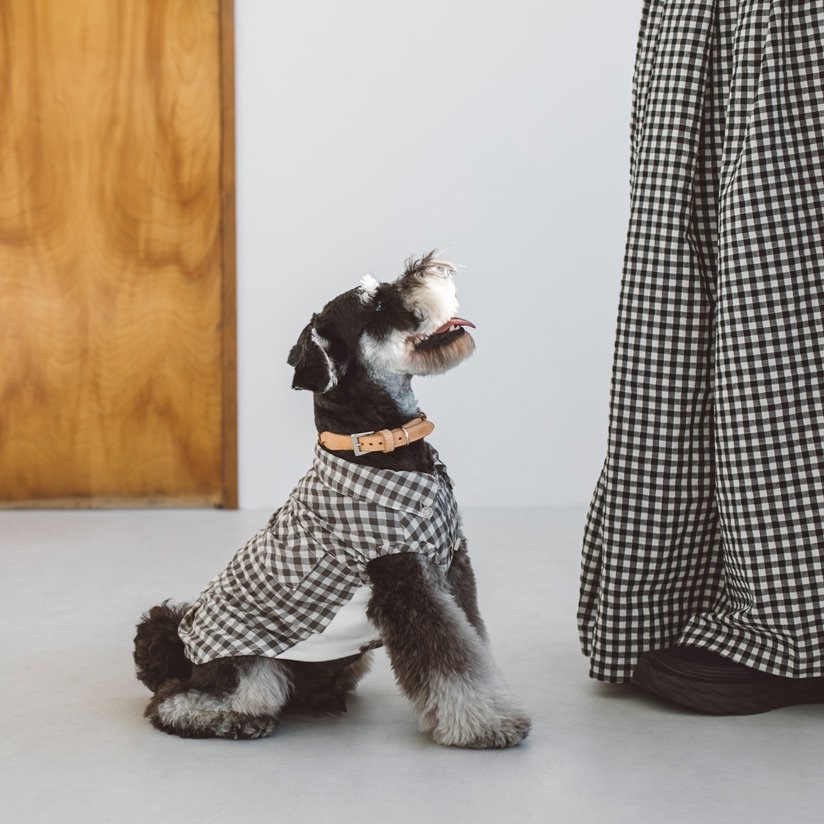 free stitch / Gingham Check Shirt 格子襯衫