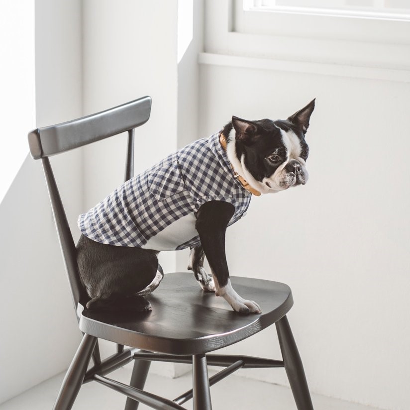 free stitch / Gingham Check Shirt 格子襯衫