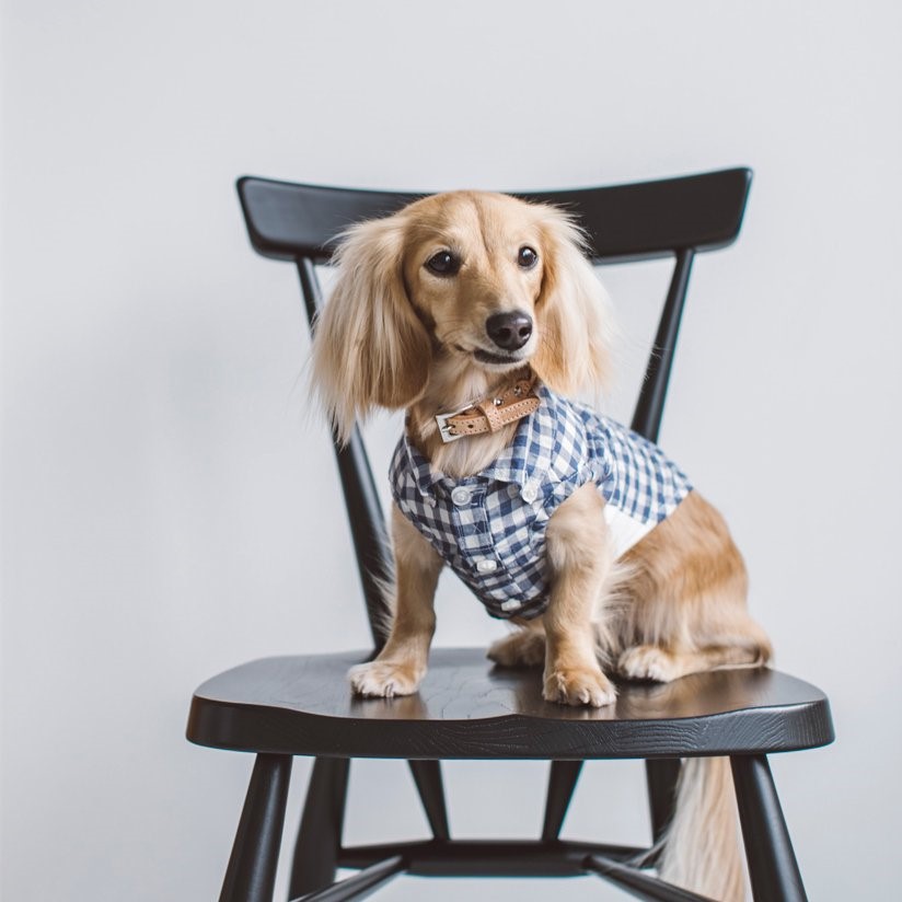 free stitch / Gingham Check Shirt 格子襯衫