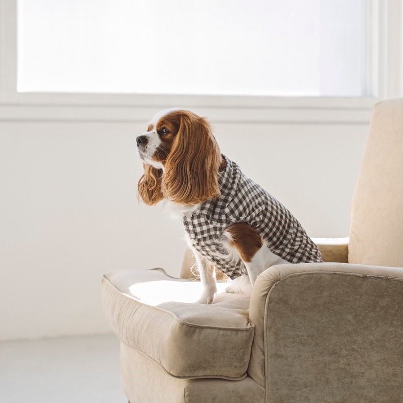 free stitch / Gingham Check Shirt 格子襯衫