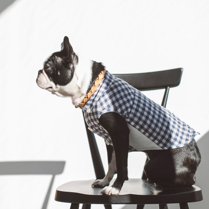 free stitch / Gingham Check Shirt 格子襯衫