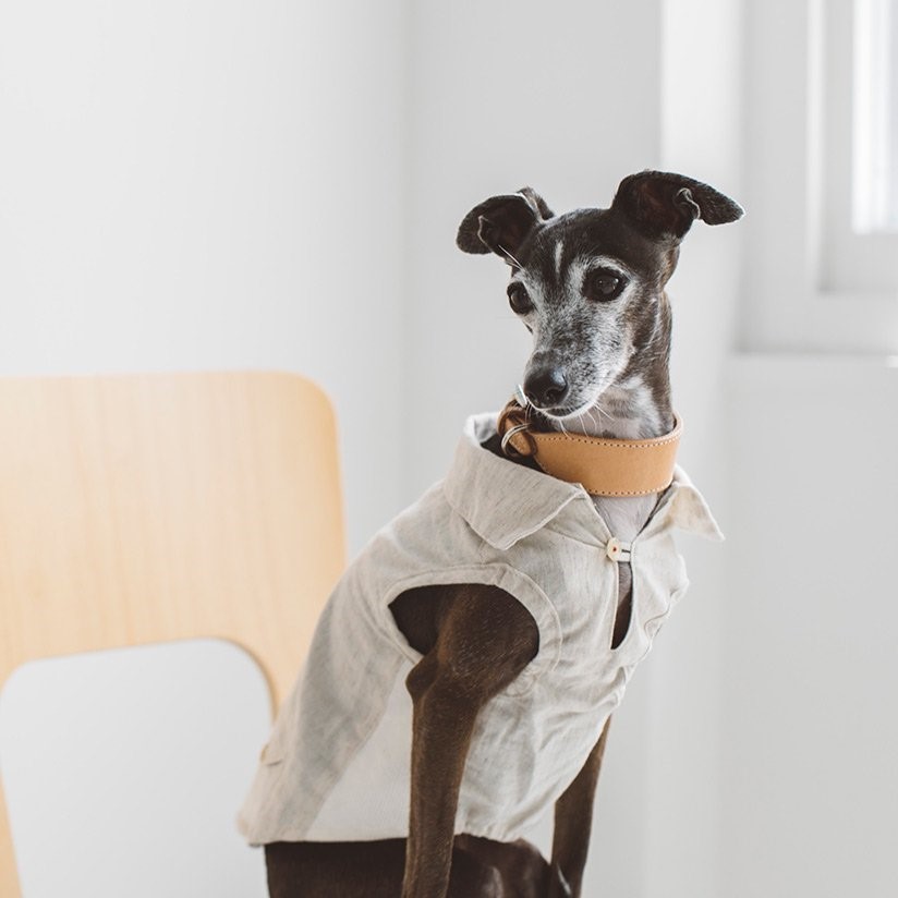 FREE STITCH /Cotton Linen Shirts 棉麻襯衫