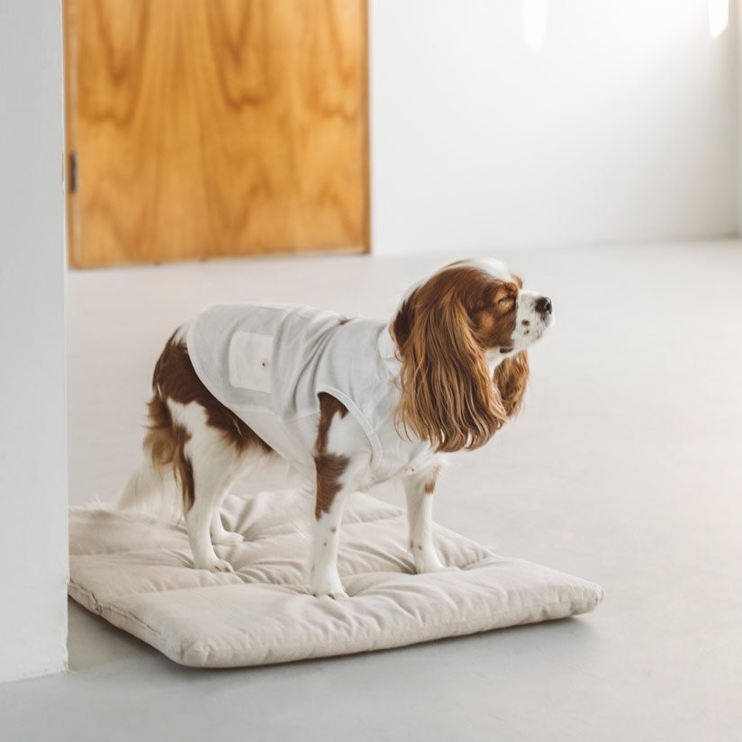 FREE STITCH /Cotton Linen Shirts 棉麻襯衫