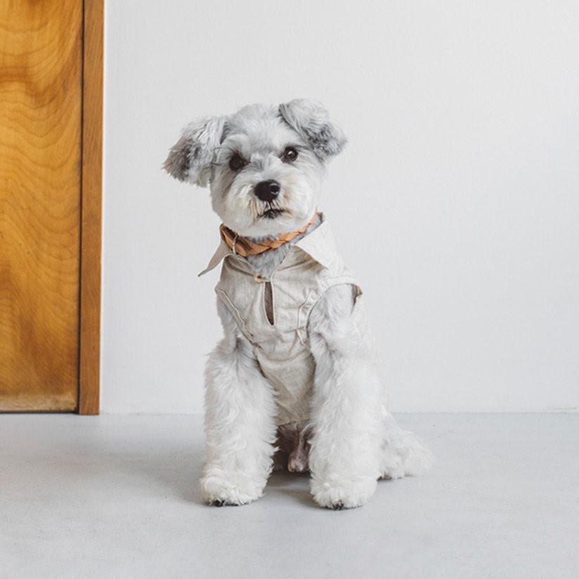 FREE STITCH /Cotton Linen Shirts 棉麻襯衫
