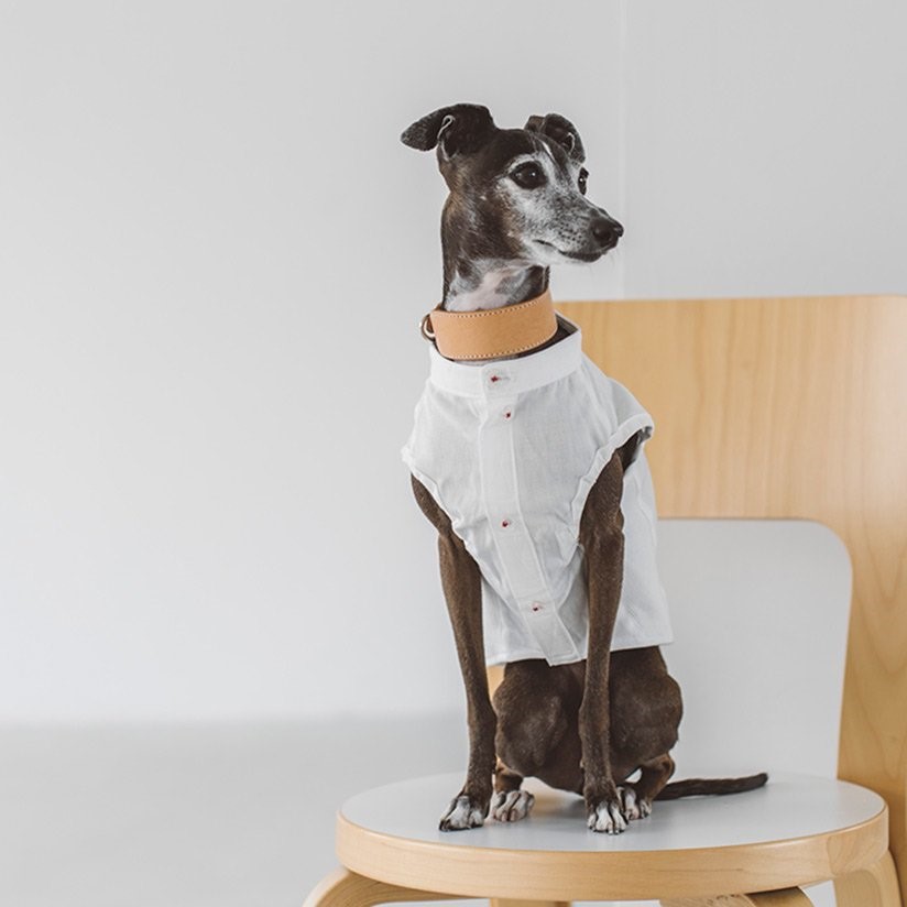 FREE STITCH / Band Collar Shirts  棉質襯衫