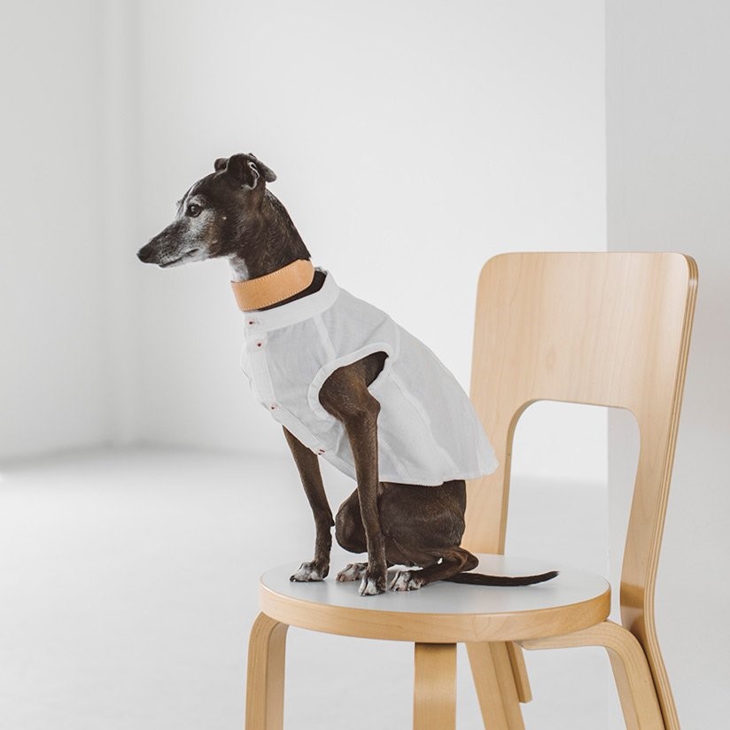 FREE STITCH / Band Collar Shirts  棉質襯衫