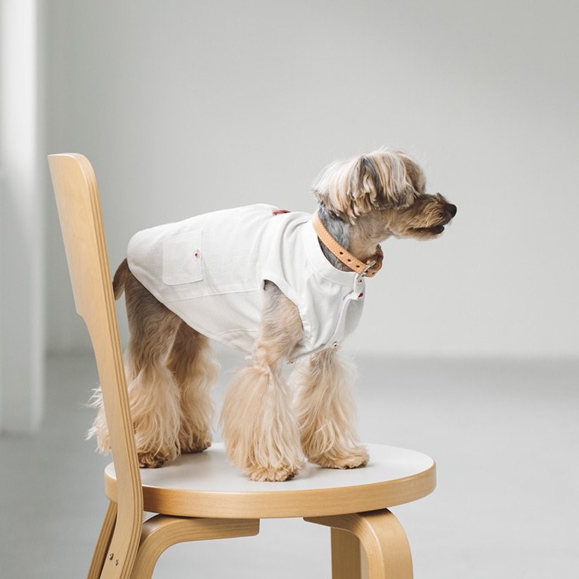 FREE STITCH / Band Collar Shirts  棉質襯衫