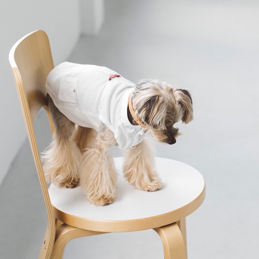 FREE STITCH / Band Collar Shirts  棉質襯衫