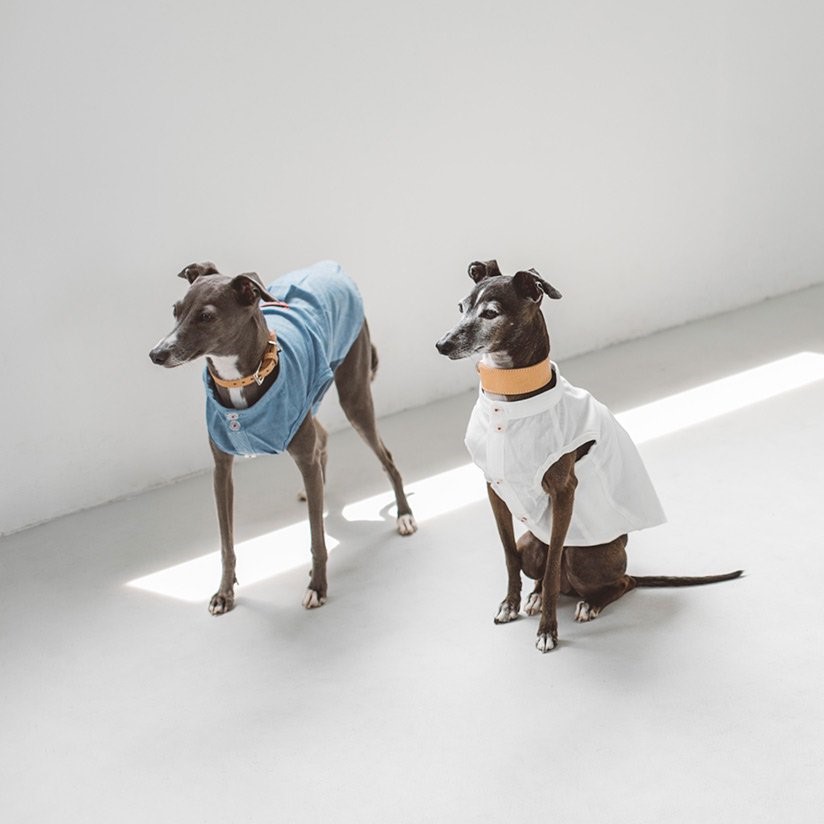 FREE STITCH / Band Collar Shirts  棉質襯衫