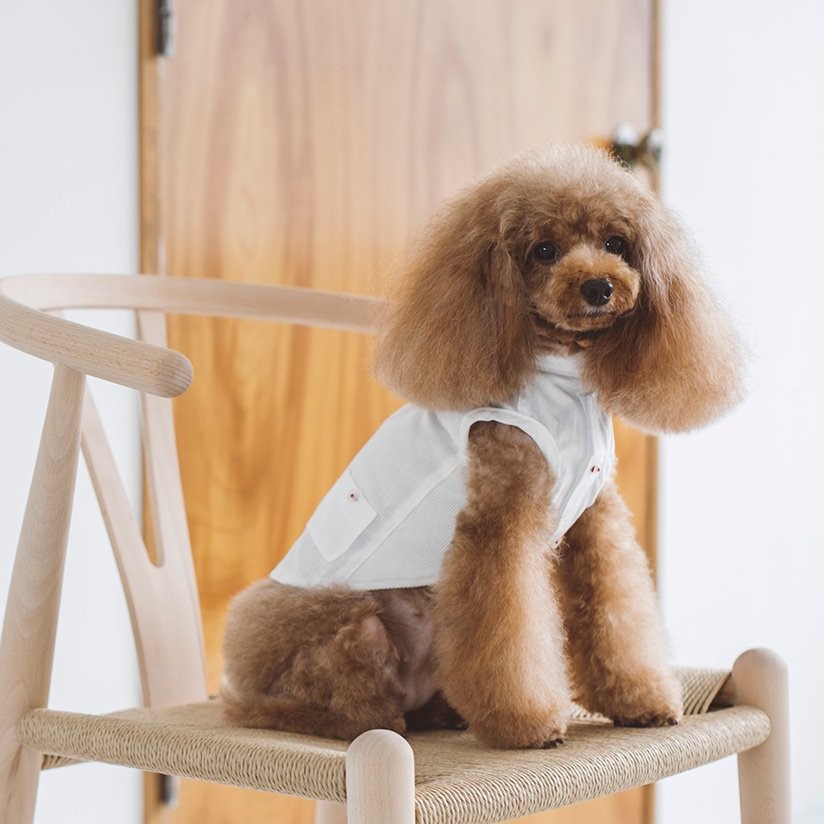 FREE STITCH / Band Collar Shirts  棉質襯衫