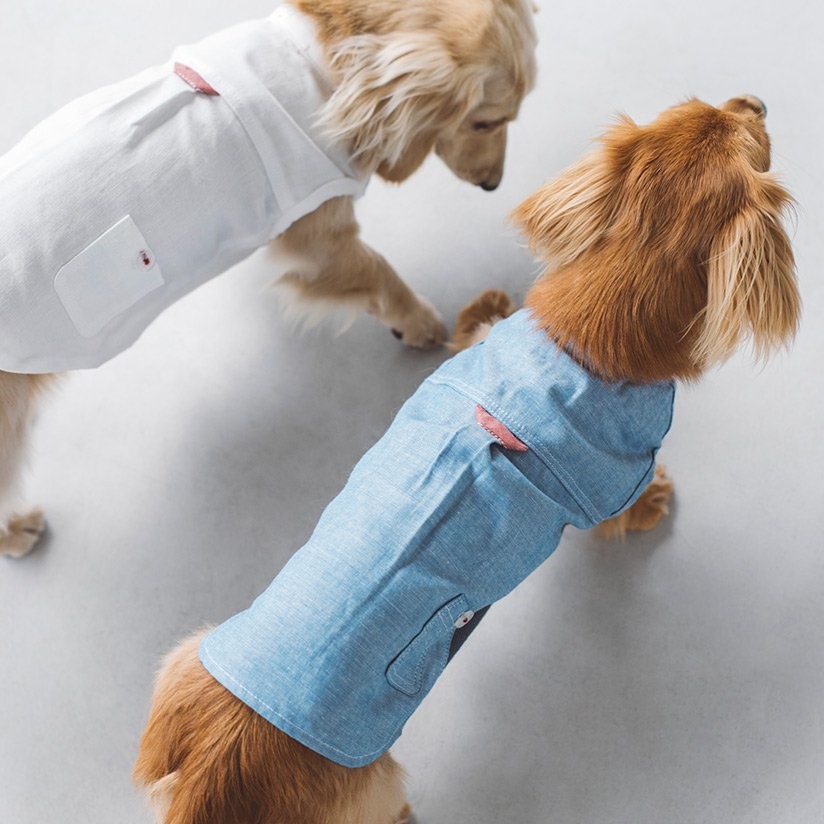 FREE STITCH / Band Collar Shirts  棉質襯衫