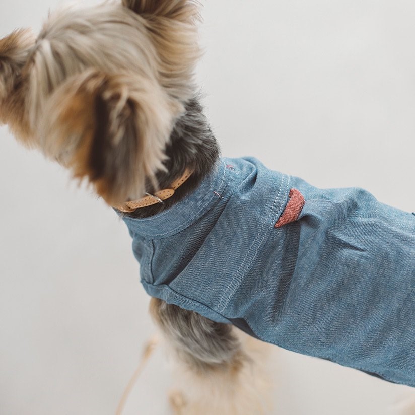 FREE STITCH / Band Collar Shirts  棉質襯衫