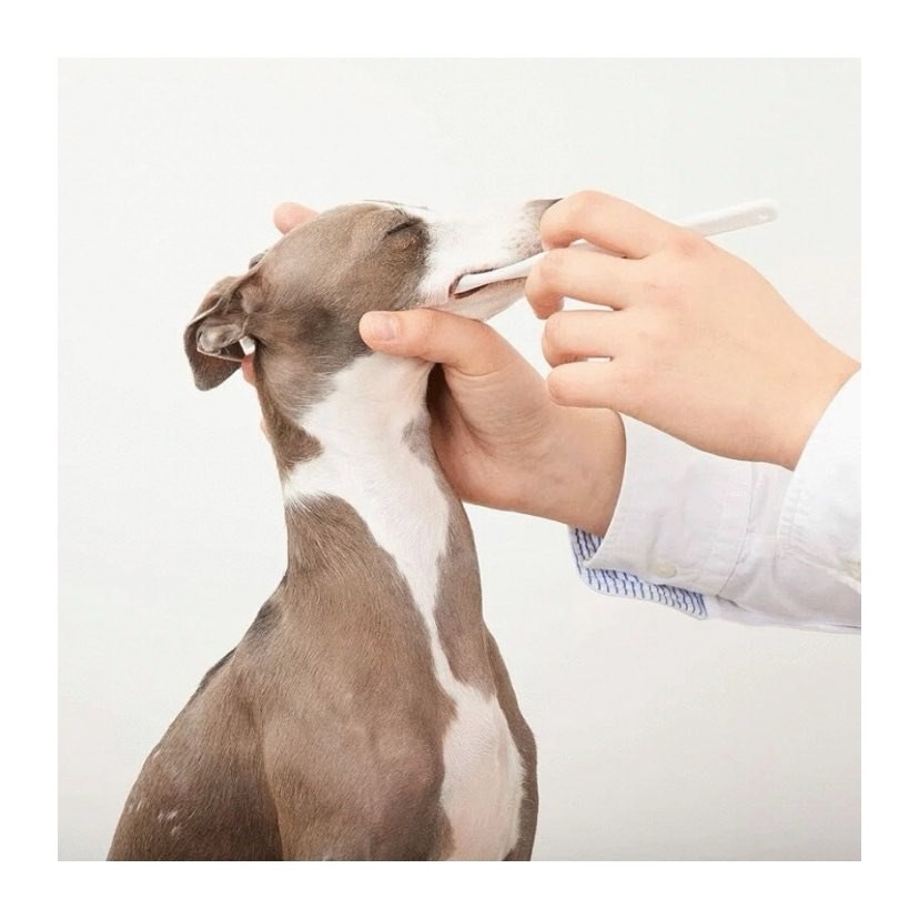 Organics for Dog 有機蘆薈薄荷牙膏75g (犬用)