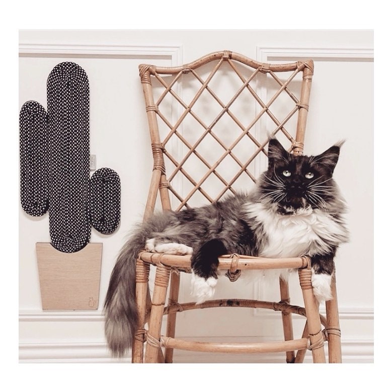 Cactus Cat Scratching Board仙人掌貓抓板