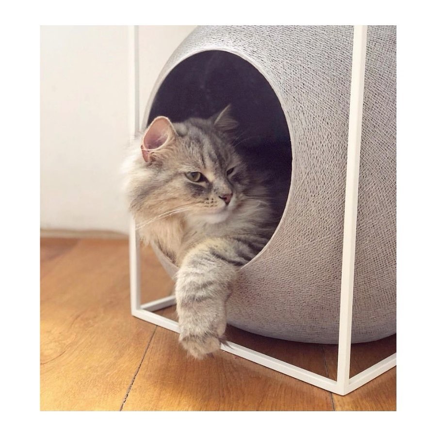 the cube for cat 簡約球型貓窩