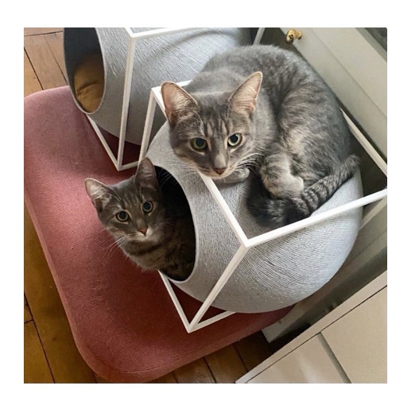 the cube for cat 簡約球型貓窩