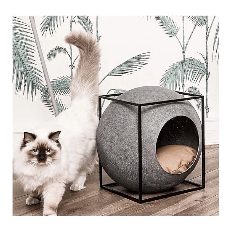 the cube for cat 簡約球型貓窩