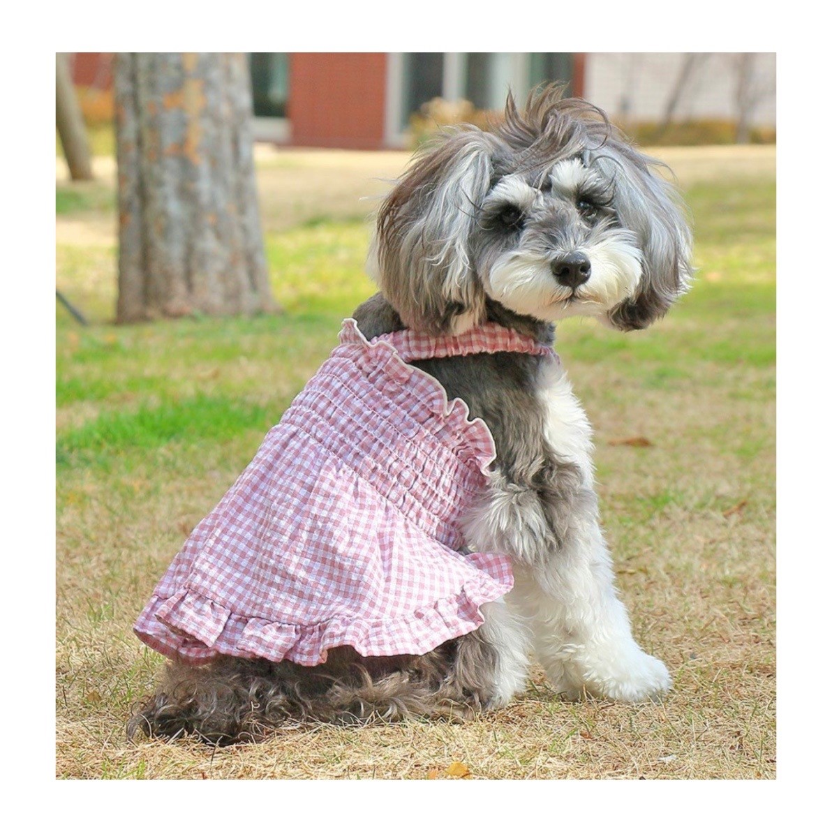 Anti-mosquito pleated plaid dress ｜防蚊蟲褶皺格紋洋裝 （杏色） 