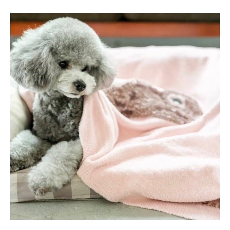 Marshmallow Bear Blanket   ｜  棉花糖熊熊毛毯／粉