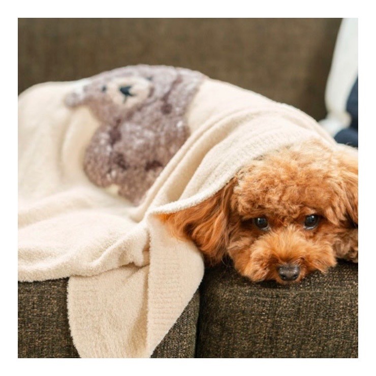 Marshmallow Bear Blanket   ｜  棉花糖熊熊毛毯／粉