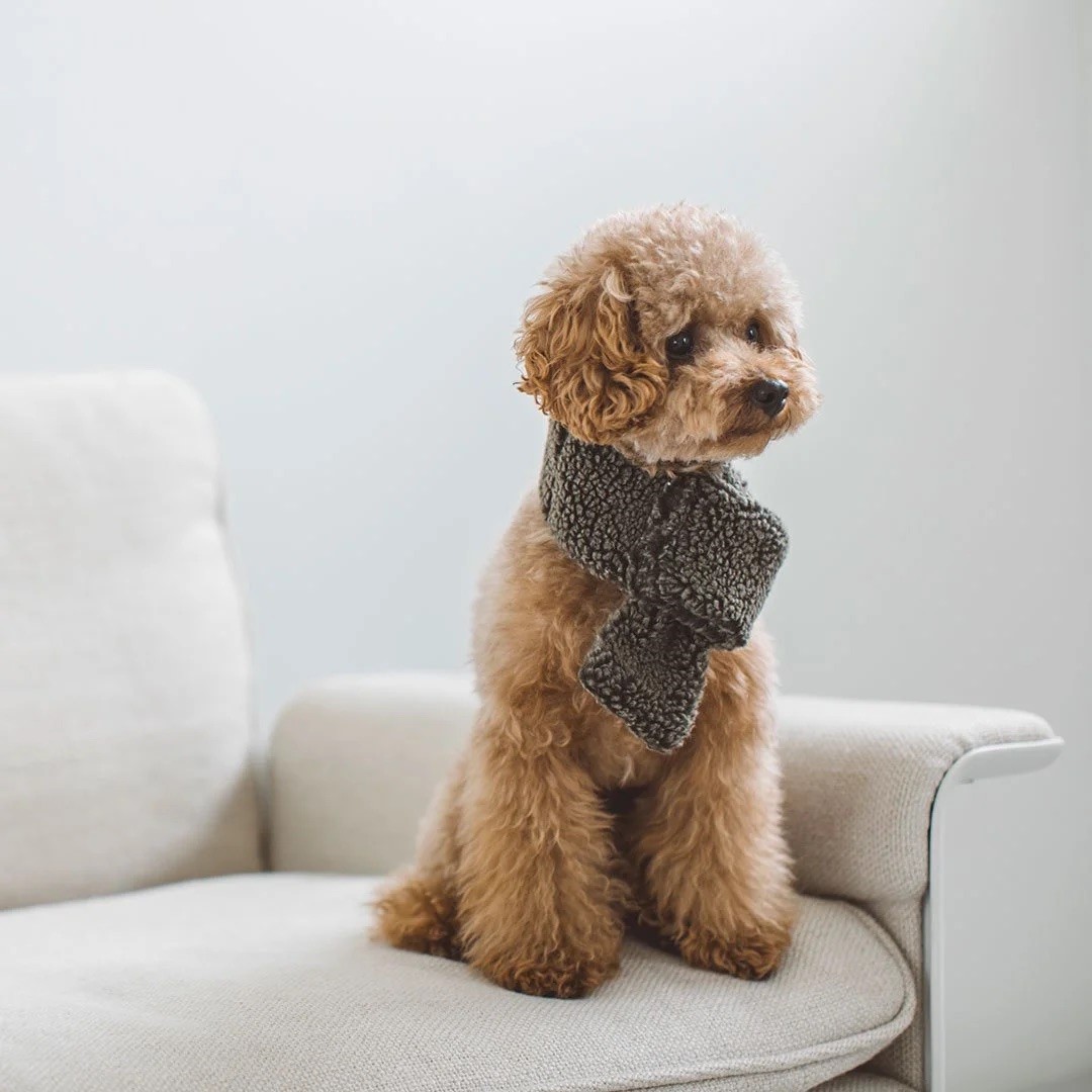BOA FLEECE SCARF  |   簡約毛絨雙面圍巾 ／綠 