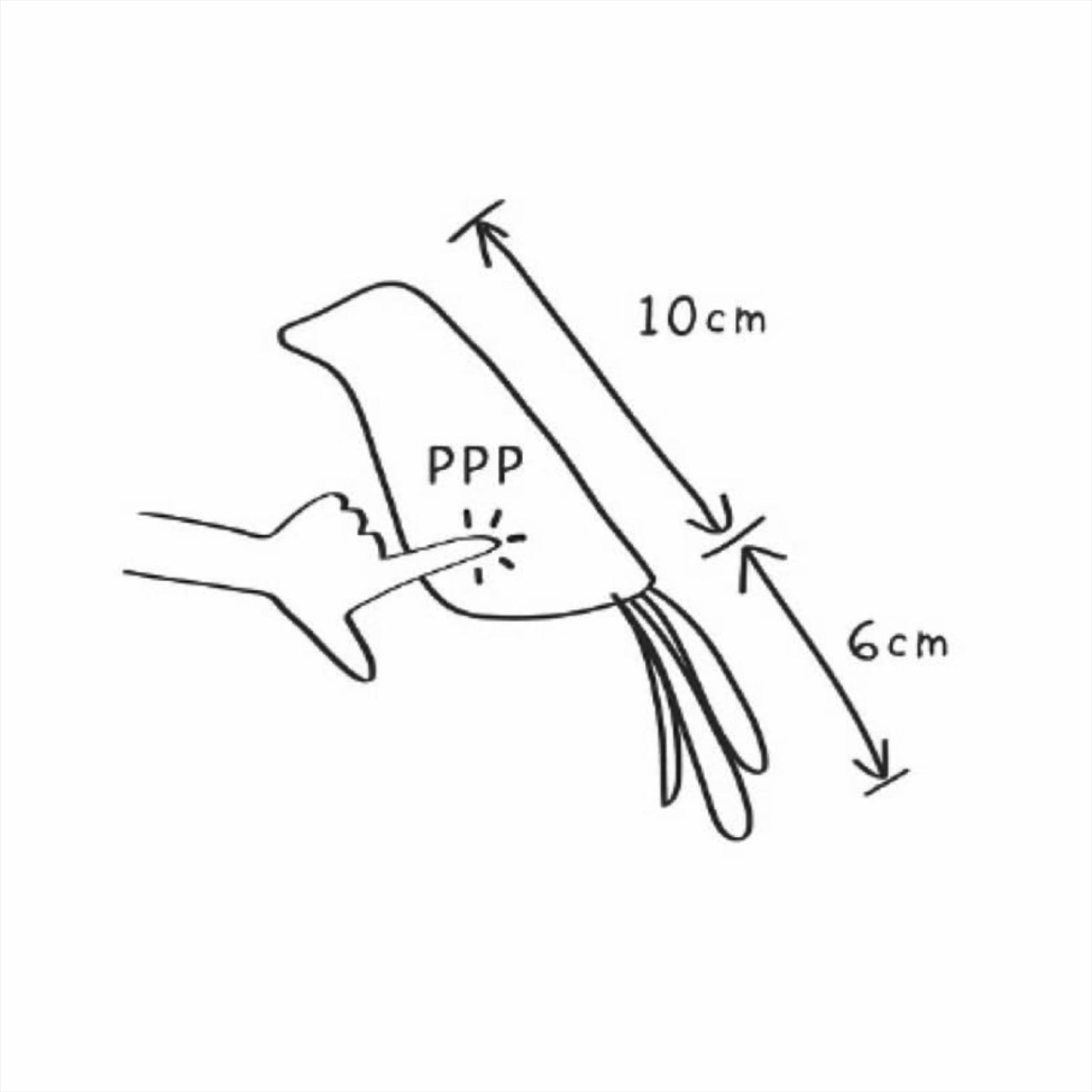 PIYO藝術小鳥玩具 