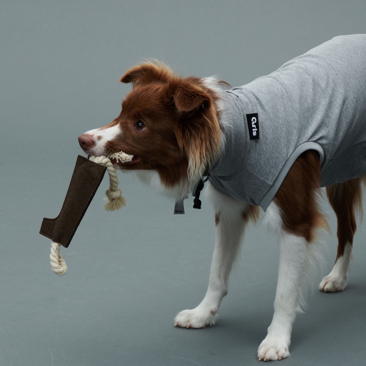 GRIS LOGO ROPE TOY WEIMARANER GREY | 棉繩毛氈玩具 /咖