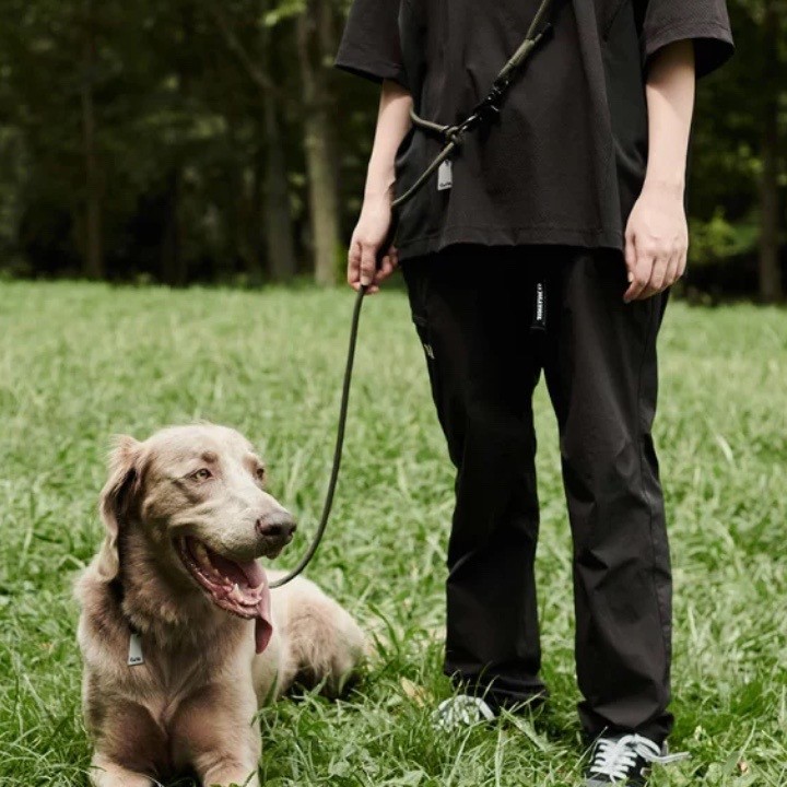 GRIS THE SHOULDER LEASH WEIMARANER GREY  | 斜背式牽繩／威瑪軍綠