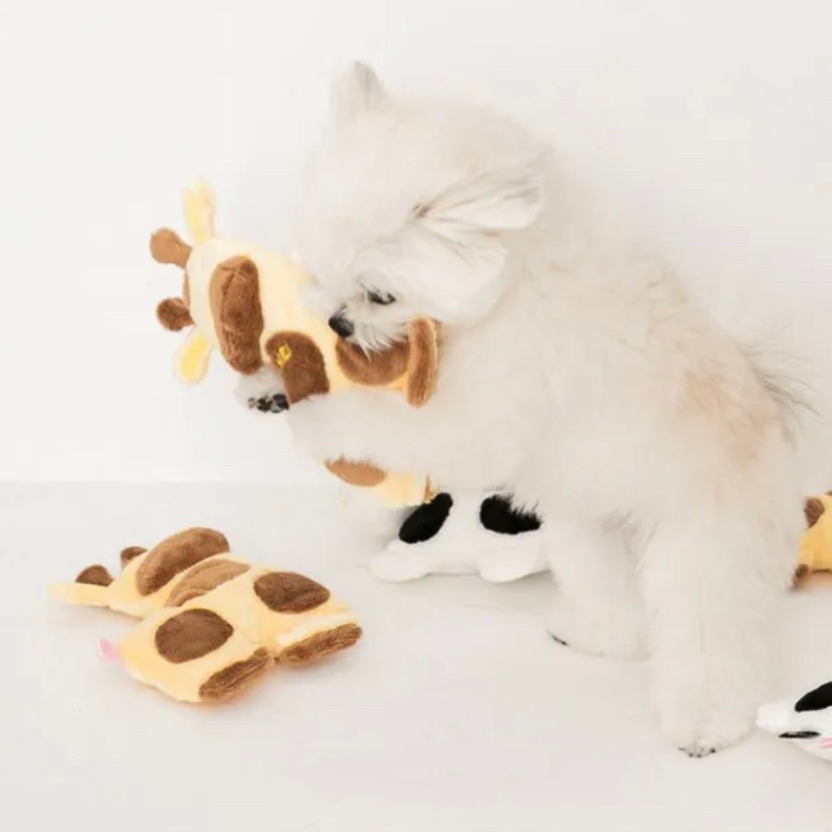 BITE ME flat cow toy| 扁扁牛造型玩具