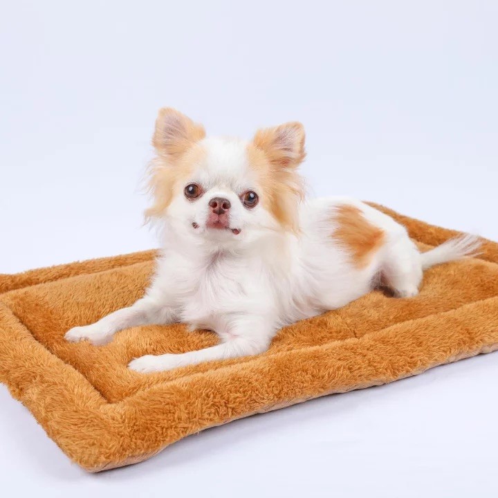 plain double sided blanket ｜素面雙面毛毯／菱格紋卡其