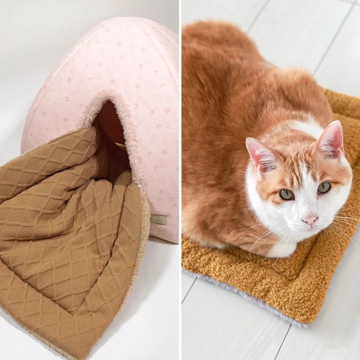 plain double sided blanket ｜素面雙面毛毯／小熊