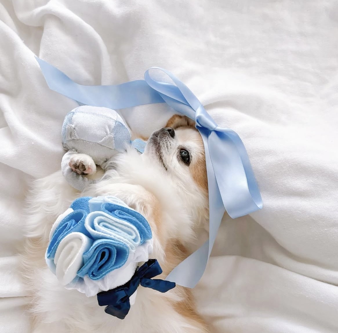 Happy wedding bouquet with toys｜新婚愉快捧花藏食玩具  