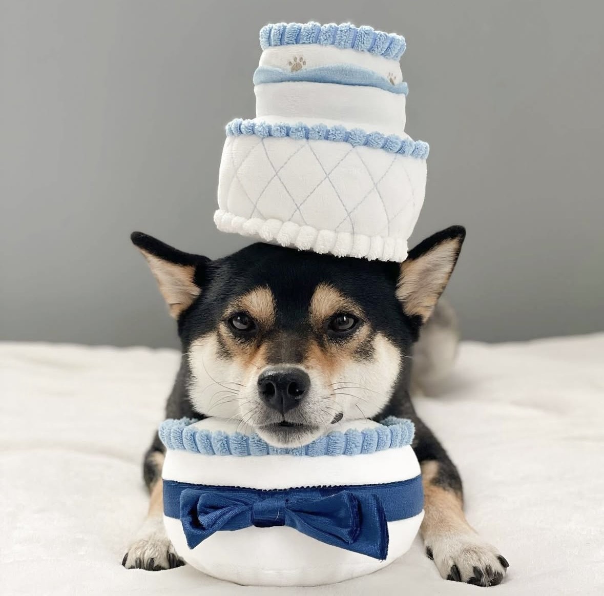 Happy wedding bouquet with toys｜新婚愉快捧花藏食玩具  